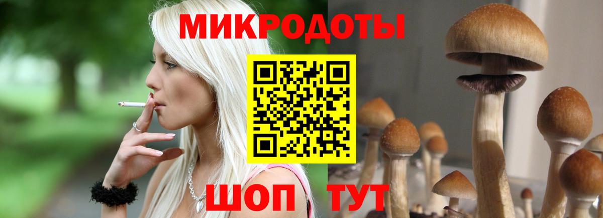 Галлюциногенные грибы MAGIC MUSHROOMS  сколько стоит  Рассказово  Вход с VPN 